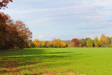 Çim sahası sonbahar ağaç ve köy Hosin. Çek manzara
