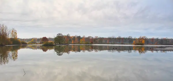 Pohon musim gugur di kolam pulau, lanskap Ceko — Stok Foto