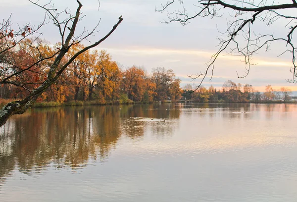 Осінні дерева на ставок греблі, чеський ландшафт — стокове фото