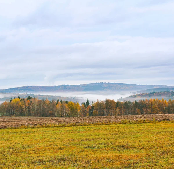 Hösten landskap äng och färgglada träd, tjeckiska landskapet — Stockfoto