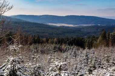 Uzak tepe ve mavi gökyüzü ile kar ormanları için güzel bir manzara. Novohra