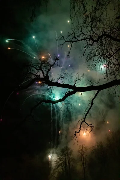 Amazing colorful fireworks on dark sky with tree. New years eve — 스톡 사진