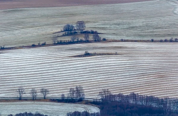 Vista cercana al campo cubierto de nieve con árboles. Novohradske moun —  Fotos de Stock