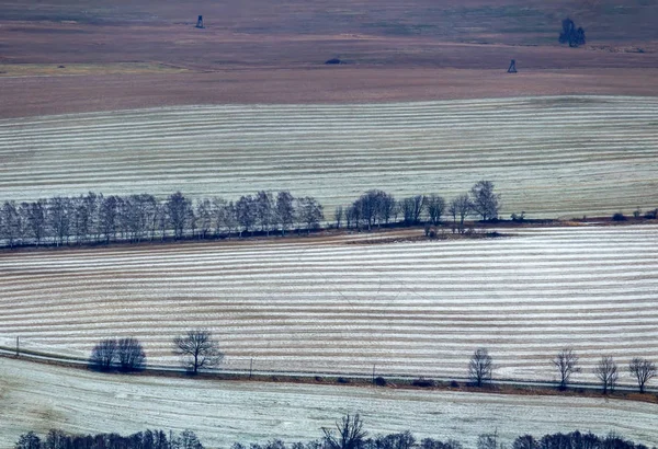 Vista cercana al campo cubierto de nieve con carretera y árboles. Novohra —  Fotos de Stock