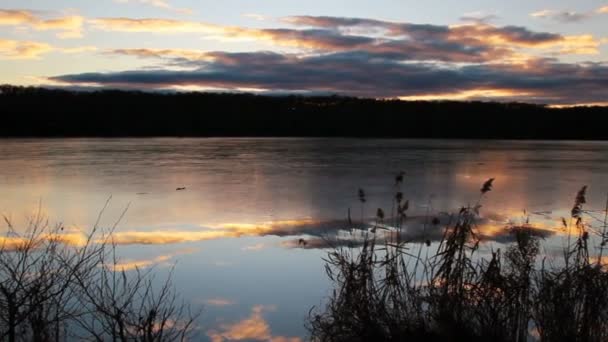 Blick auf den vereisten Teich mit Bäumen bei Sonnenuntergang. tschechische Landschaft — Stockvideo