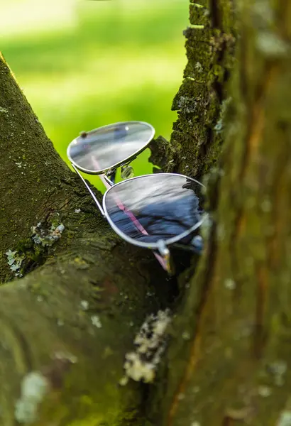 Komplexe Sonnenbrille Baum Mit Blauem Hintergrund Mode Reise Produktkonzept — Stockfoto
