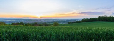 Gün batımında panoramik manzarayla ağaçlar ve şehir Ceske Budejovice ile güzel bir yeşil alan. Çek Cumhuriyeti