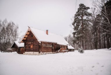     Kışın ormanda Rus ahşap ev izba