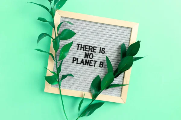 Ruscus branches and letterboard with quote There is no planet B
