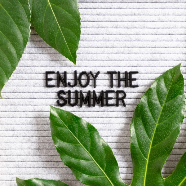 Green leaves and quote Enjoy the summer on felt background