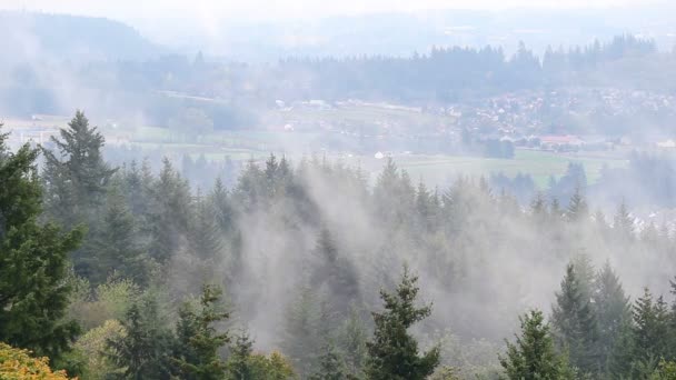 Rollender Nebel und niedrige Wolken über Vorstadtlandschaft und Wohnhäusern in der Stadt des glücklichen Tals — Stockvideo