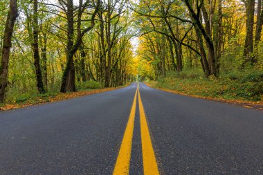 Historic Columbia River Highway Two Way Lanes in Fall clipart