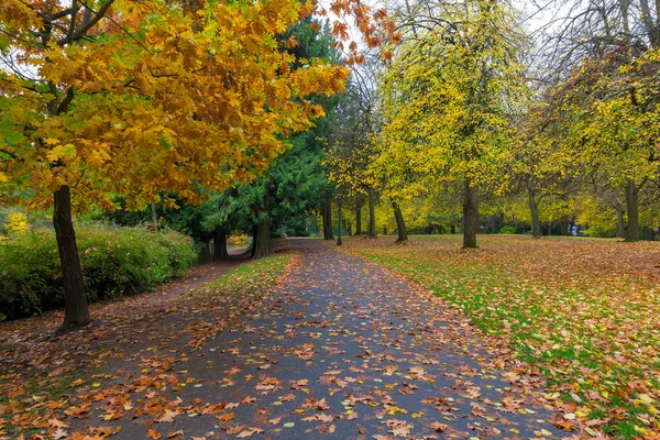 Осенний сезон в Лорелхёрст-парке в Портленде, Орегон — стоковое фото