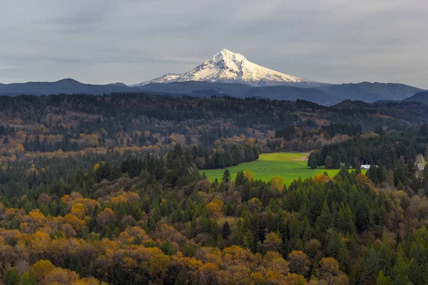 Mount Hood over Barlow Trail Route — Stock Photo, Image