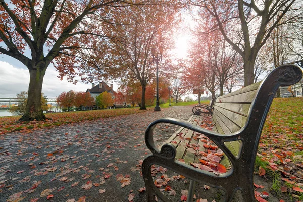 秋の公園で公園のベンチ — ストック写真