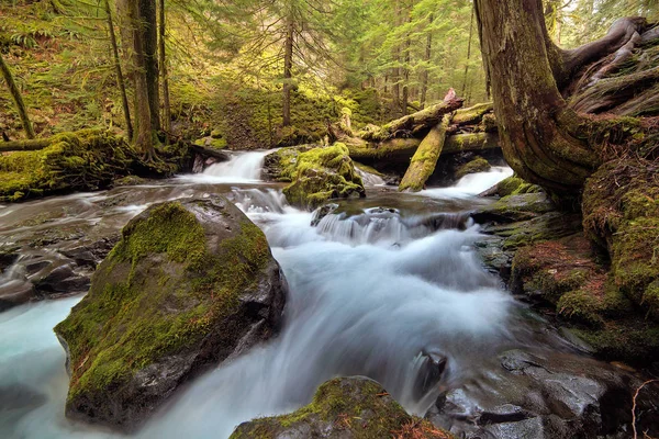 Log Jam at Panther Creek — Stock Photo, Image