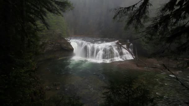 Película de alta definición de las espectaculares cataratas del río Lewis en el estado de Washington 1080p hd — Vídeos de Stock