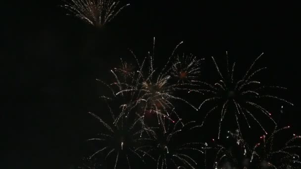 Högupplöst film av New Year's eve festligt fyrverkeri show firande på natten 1080p hd — Stockvideo