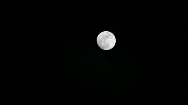 Film haute définition 1080p d'un avion volant au-dessus de la pleine lune dans la nuit 1920x1080 hd — Video