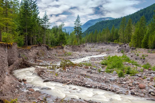 Sandy River w Mount Hood National Forest — Zdjęcie stockowe