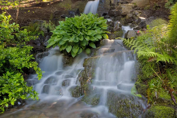 Wasserfall bei Kristallquellen Rhododendron Garten — Stockfoto