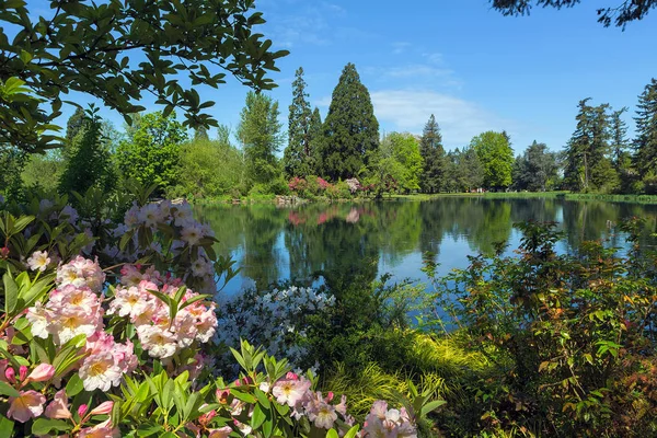 The Lake at Crystal Spring Rhododendron Garden — Stock Photo, Image