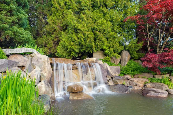 Paisaje de jardín con cascada y árboles — Foto de Stock