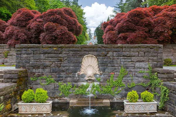 Delfinkopf-Wasserbrunnen im Renaissance-Garten — Stockfoto