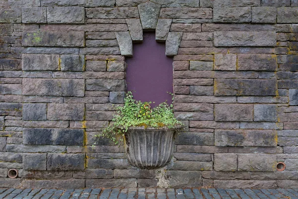 Old Planter on Stone Wall — Stock Photo, Image