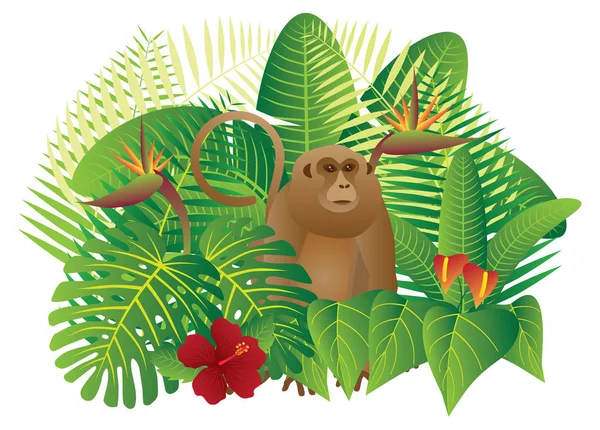 Selva tropical Selva Mono vector Ilustración — Vector de stock