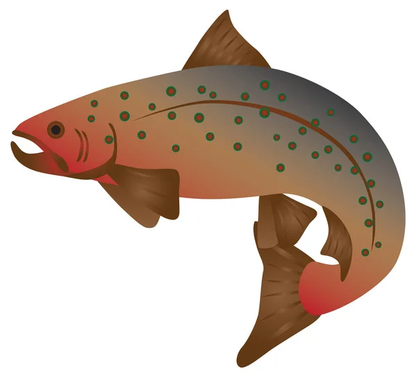 Brook Trout Color vector Illustration — Stock Vector