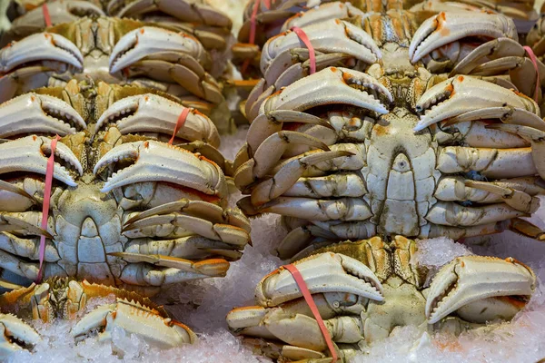 Wild Dungeness Crabs on Ice at Market — Stock Photo, Image