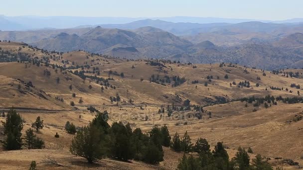 Alta definizione 1080p panning video viste espansive di terreno alto deserto e vegetazione in Antelope Oregon centrale — Video Stock