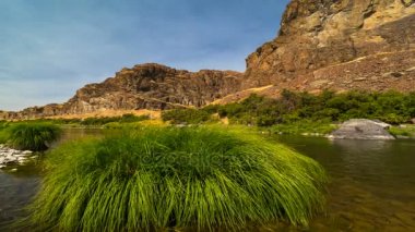 Mavi gökyüzünün ve antilop Merkezi Oregon 4k güzel bozulmamış John Day Nehri boyunca güzel yeşil çim Timelapse