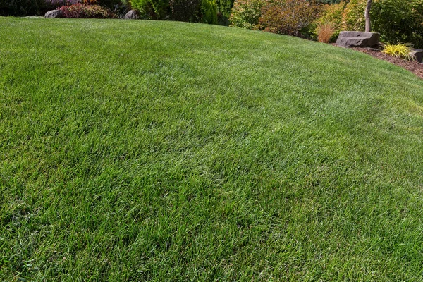 Dom ogród zielony trawa trawnik — Zdjęcie stockowe