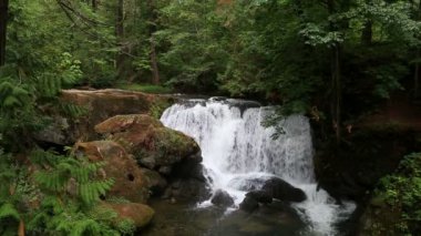 Whatcom Falls Bellingham WA video ses ses 1080 p ud fışkıran su ile
