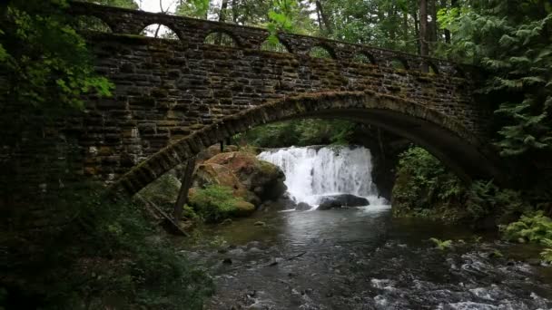 Vidéo de Whatcom Falls et d'un vieux pont de pierre avec mousse et fougères à Bellingham WA 1080p — Video