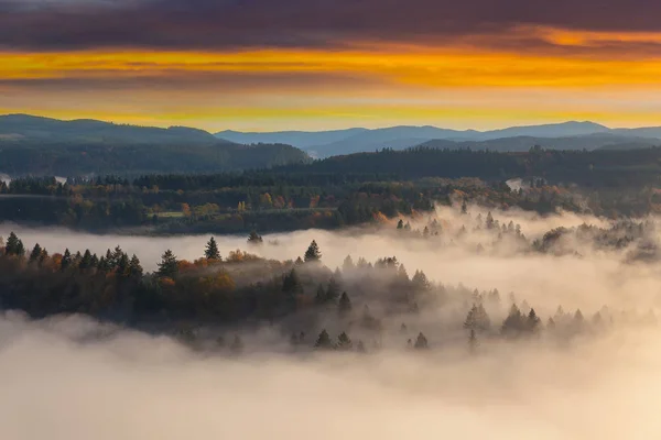 Foggy Sandy River Valley during Sunrise — Stock Photo, Image
