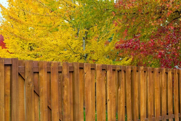 Trees by Backyard Valla de madera en otoño Colores Estados Unidos — Foto de Stock