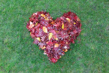 Fallen Leaves Raked into Heart Shape on Green Grass clipart