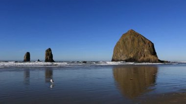 Yüksek tanımlı 1080p film onun iyi bilinen Haystack Rock Simgesel Yapı ile güzel top plaj ve downtown topu Beach Pasifik Okyanusu 1920 x 1080 boyunca Oregon Tolovana Park civarındaki güneybatısında bulunan iğneler