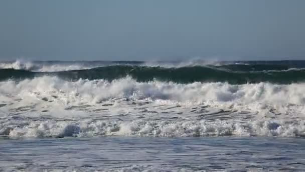 打ち寄せる波キャノンビーチ オレゴン州の太平洋岸に沿って青い空に対しての高精細 1080 ビデオ — ストック動画