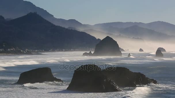 Film Haute Définition 1080P Belle Plage Cannon Beach Ecola State — Video