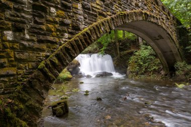 Whatcom Falls Park Wa devlet ABD altında şelale