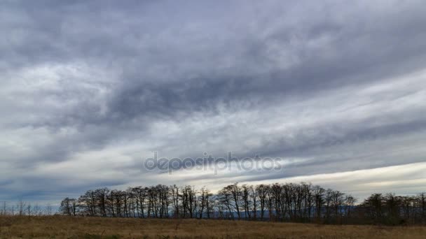 Ultral 高精細 時間経過の冬季 3840 2160 パウエル ビュート オレゴン州ポートランドにオープン フィールドの牧草地に劇的な移動雲と空の映画 — ストック動画