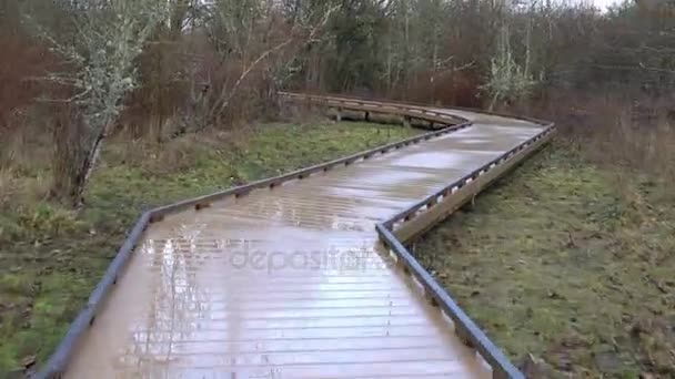 Film ultra haute définition 4k time lapse de la promenade menant au pont avec vue sur les zones humides dans Happy Valley Park en Oregon UHD 3840x2160 