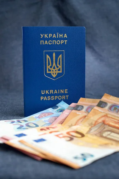 Pasaporte de Ucrania con Euro Bills dentro. Sobre un fondo gris — Foto de Stock