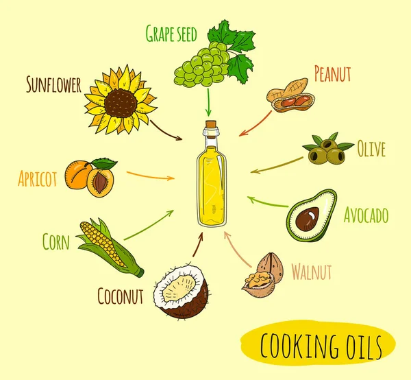 Infografía dibujada a mano de clases de aceite de cocina — Archivo Imágenes Vectoriales