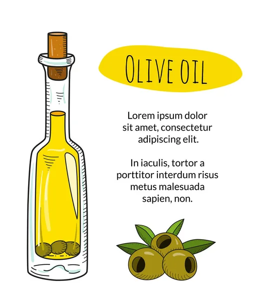 多彩的手绘制的橄榄油瓶带有示例文本 — 图库矢量图片