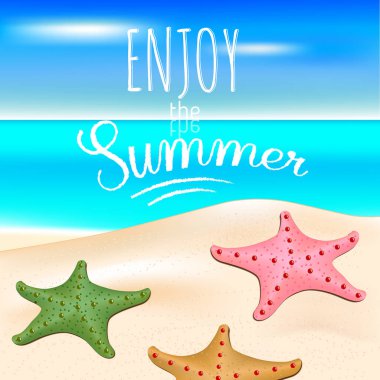 Tropikal deniz ve kumsal starfishes ile